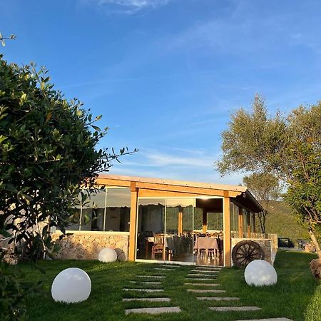 Agriturismo Lu Stabbiacciu 阿列恩图 外观 照片