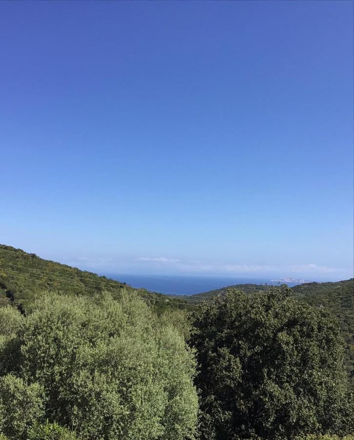 Agriturismo Lu Stabbiacciu 阿列恩图 外观 照片